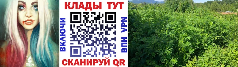 МЕТАДОН Дигора