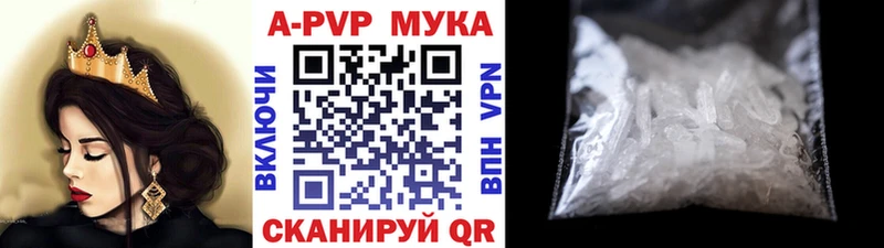 APVP СК КРИС  закладка  Дигора 