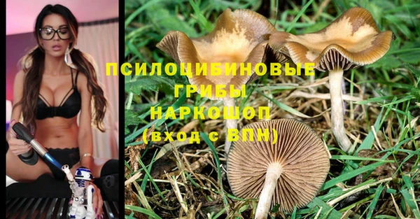 крисы Семикаракорск