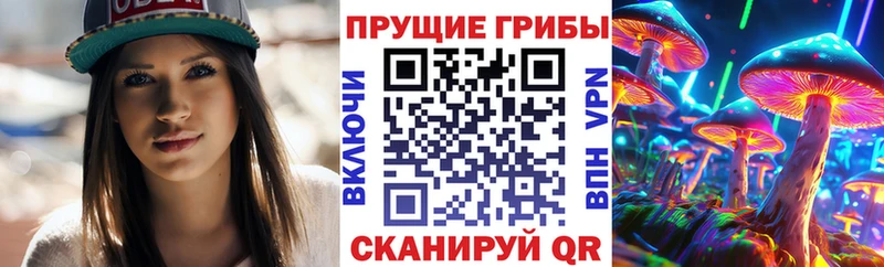 omg ссылки  Дигора  Псилоцибиновые грибы ЛСД 