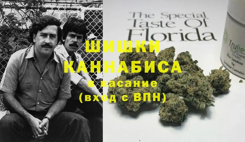 Каннабис THC 21%  где можно купить   Дигора 